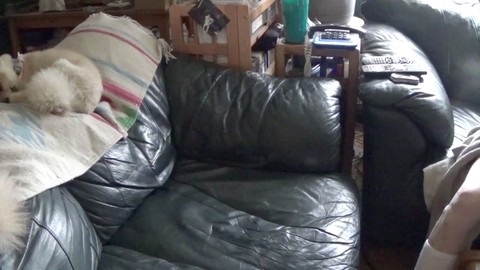 Sin experiencia, gay, una paja